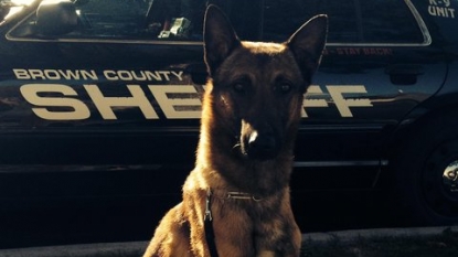 K-9 working PGA Championship dies in hot squad vehicle with faulty AC