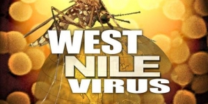 Bellmawr man is state’s first confirmed West Nile virus case