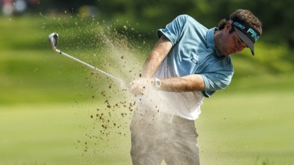 Bubba Watson Rants About Ants — PGA Championship News