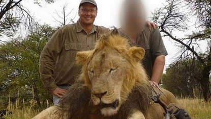 Zimbabwe: Give Us Lion-Killing Dentist