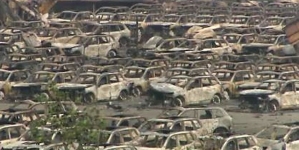 Thousands of dead fish wash up near Tianjin blast site