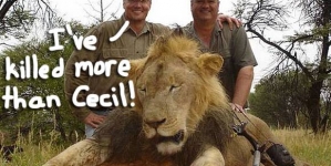 Cecil’s killer illegally slayed bear in US, tried to ‘bribe’ guides