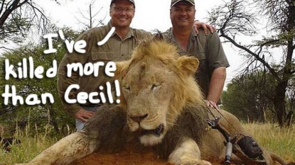 Cecil’s killer illegally slayed bear in US, tried to ‘bribe’ guides