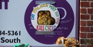 Cecil the lion killer could face up to 10 years in jail