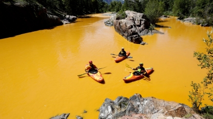 Colorado’s Animas River turns yellow with pollution