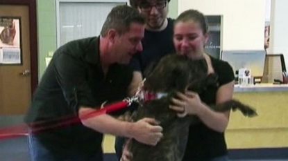 Dog missing for 9 years has emotional reunion with owner