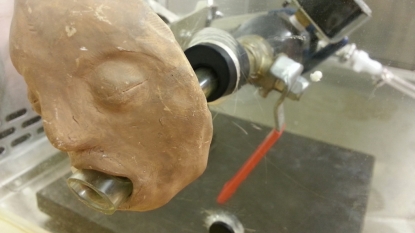 NCSU, WFU scientists create machine to simulate vomiting