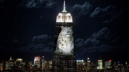 Empire State Building shines for endangered animals