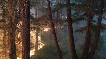 Crews in BC contain 25% of Rock Creek fire