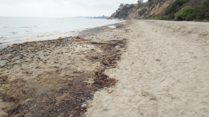 Summerland Beach closed after Oil washed up on Sand