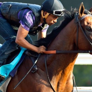 Dazzling American Pharoah Effortless in Del Mar Workout