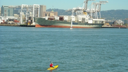 Dead whale spotted inside San Francisco Bay