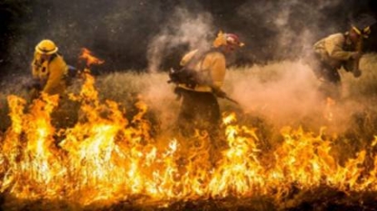 Die in wave of violence in southern Mexico