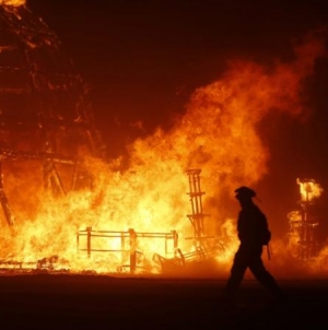 Disgusting Bugs Have Infested Burning Man 2015