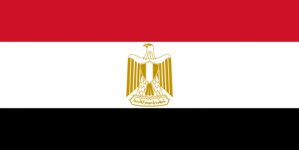 Importance of Cairo Declaration stressed