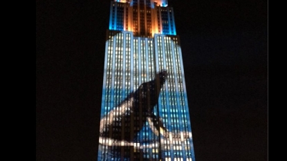 Empire State Building lights up in honor of endangered species