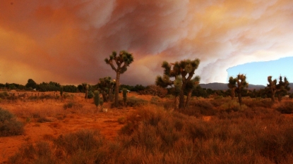 Evacuated residents say Northern California wildfire flared up quickly