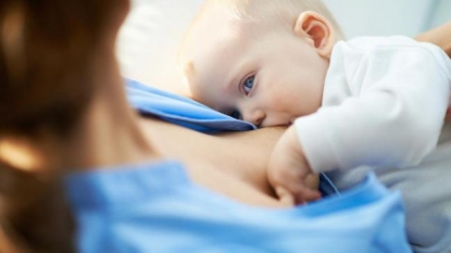 Exclusive Breastfed could expose infants to Toxic Chemicals