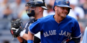 Fan throws back homer ball at Yankee Stadium, hits NY player