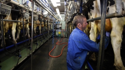 Milk prices row: Farming unions call emergency summit