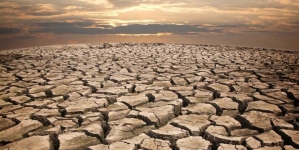 Fiorina Hits Todd for Using Climate Change to Talk California Drought