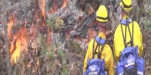 Fire crews from Down Under arrive in Boise