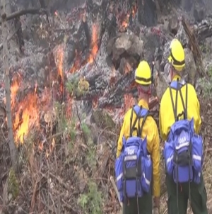 Fire crews from Down Under arrive in Boise