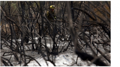 First time ever Forest Service spends half its budget to fight wildfires