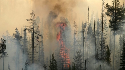 Forest Service Confirms Identities Of Firefighters Killed In Washington