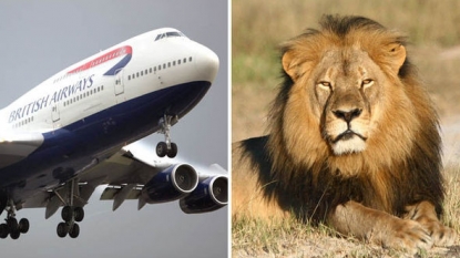 Delta, United, and American Airlines to big game hunters: We’re not shipping