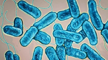 GlaxoSmithKline shuts down plant over legionnaires’ bacteria