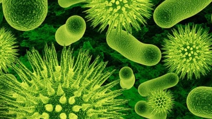 Healthcare coordination could fight ‘superbug’ infections in US