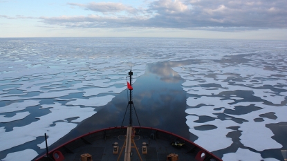 Hillary Clinton: Arctic Drilling Is ‘Not Worth the Risk’