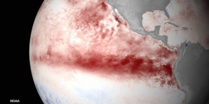 Chance Of ‘Godzilla’ El Nino Is Near Certainty In New Forecast