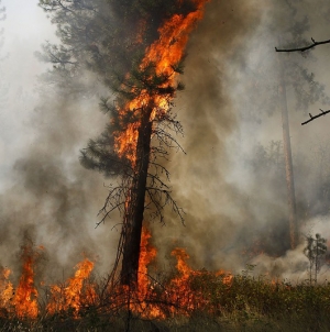 The Okanogan wildfires continue to threaten to expand