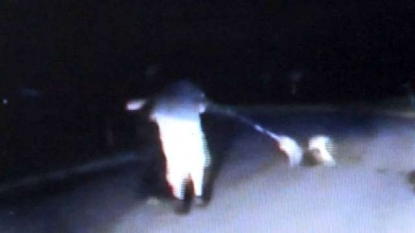 Kansas man swings dog at officer