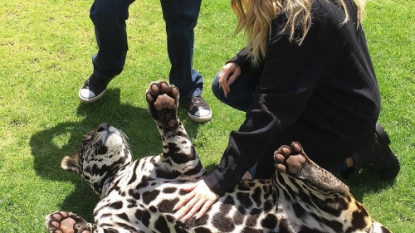 Khloé Kardashian & Kendall Jenner Bond With Adorable, Huge Cats…Who Wants a