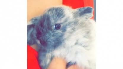 Kylie Jenner adopts a bunny and names him after her father Bruce