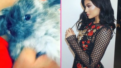 Kylie Jenner has unnervingly named her new pet rabbit … Bruce