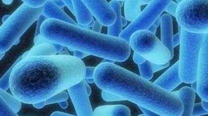 Up to 10 dead, 100 diagnosed with Legionnaires’ disease in NYC