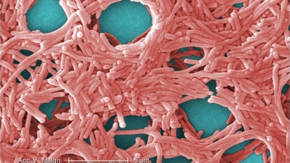 8 dead in NYC Legionnaires’ outbreak