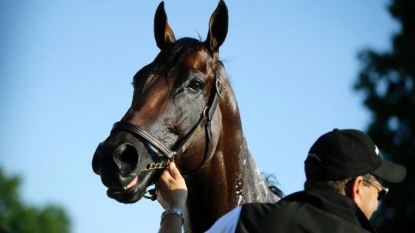 American Pharoah in ideal shape for Sunday’s Haskell