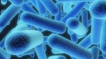 Legionnaires’ disease tied to showers