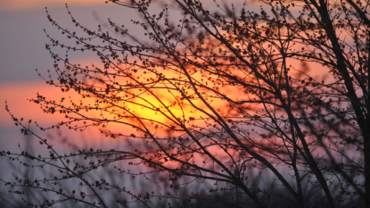 Nashville weather forecast hard to beat this week