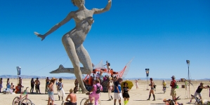 Nevada Burning Man Festival Bugging Out Over Insect Swarms