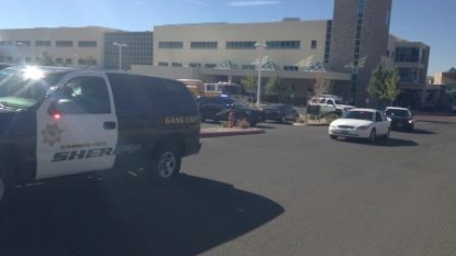 Nevada Sheriff’s Deputy Killed During Domestic Violence Call