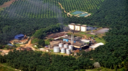 Norway oil fund excludes 4 Asian companies over palm oil