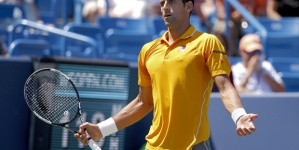 Novak Djokovic sees off Stanislas Wawrinka in Cincinnati Open quarter