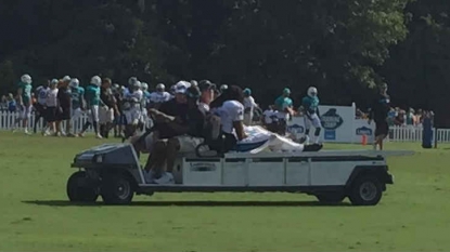 Dolphins safety Louis Delmas carted off field with apparent knee injury