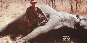 Zimbabwe Illegal Hunting American Response